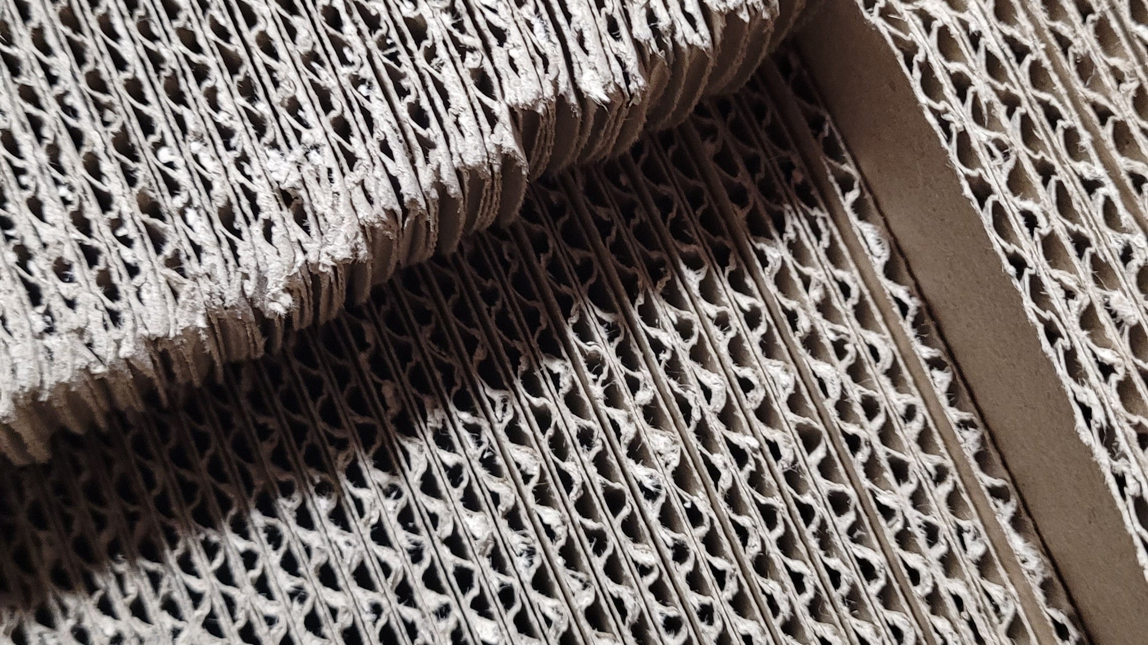 Our Planet-First Promise - Bright, Bold & Upbeat