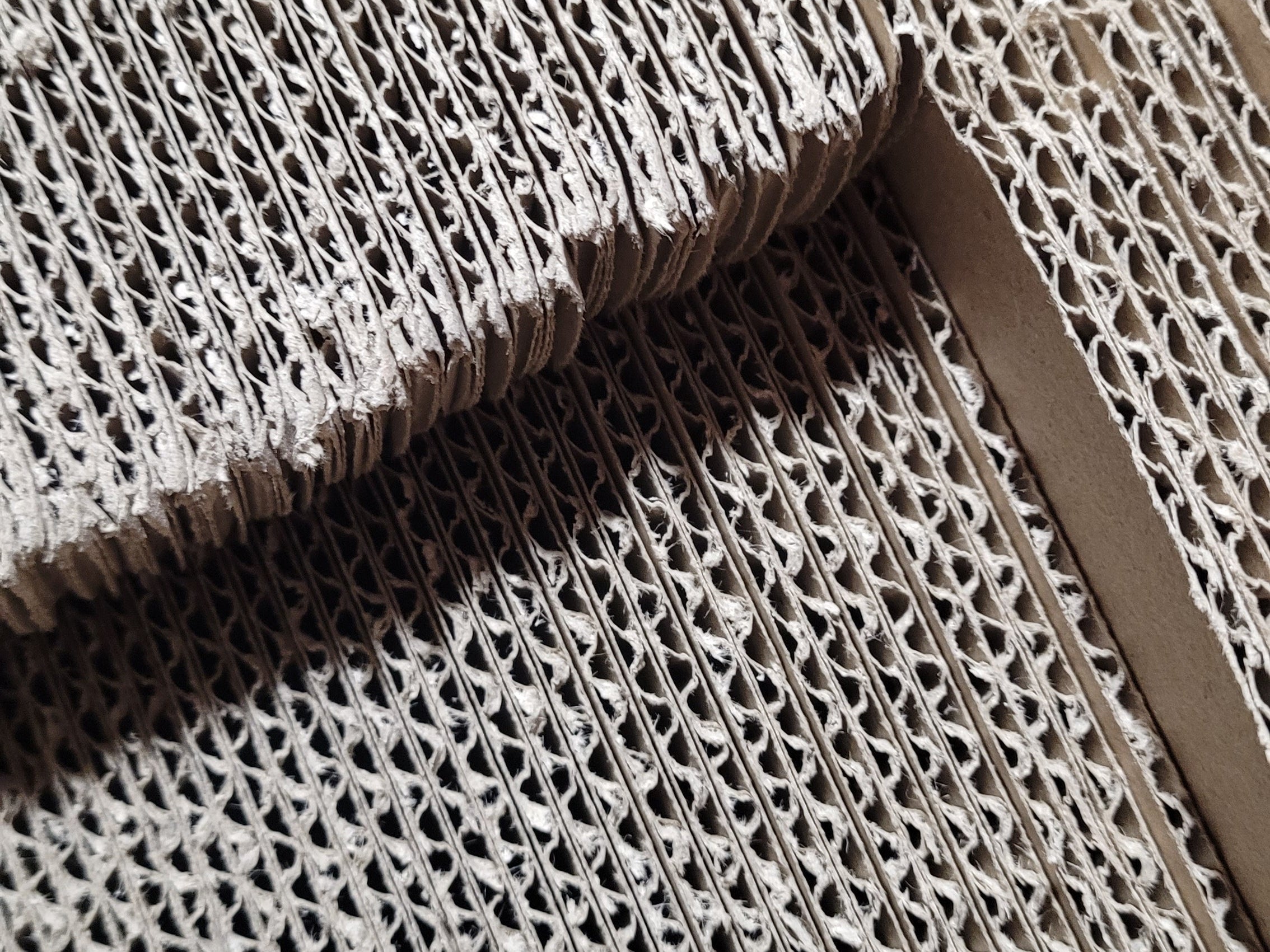 Our Planet-First Promise - Bright, Bold & Upbeat