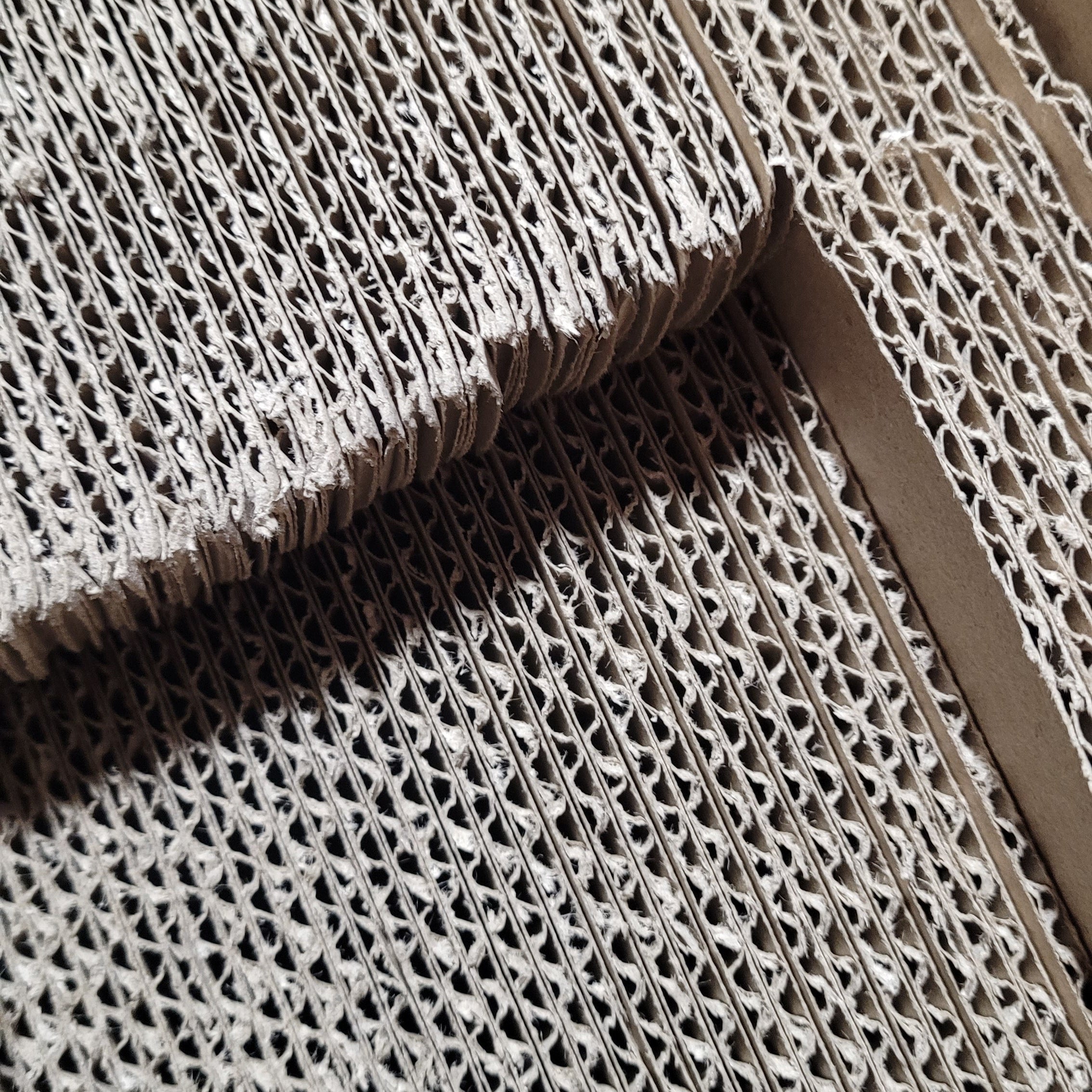 Our Planet-First Promise - Bright, Bold & Upbeat