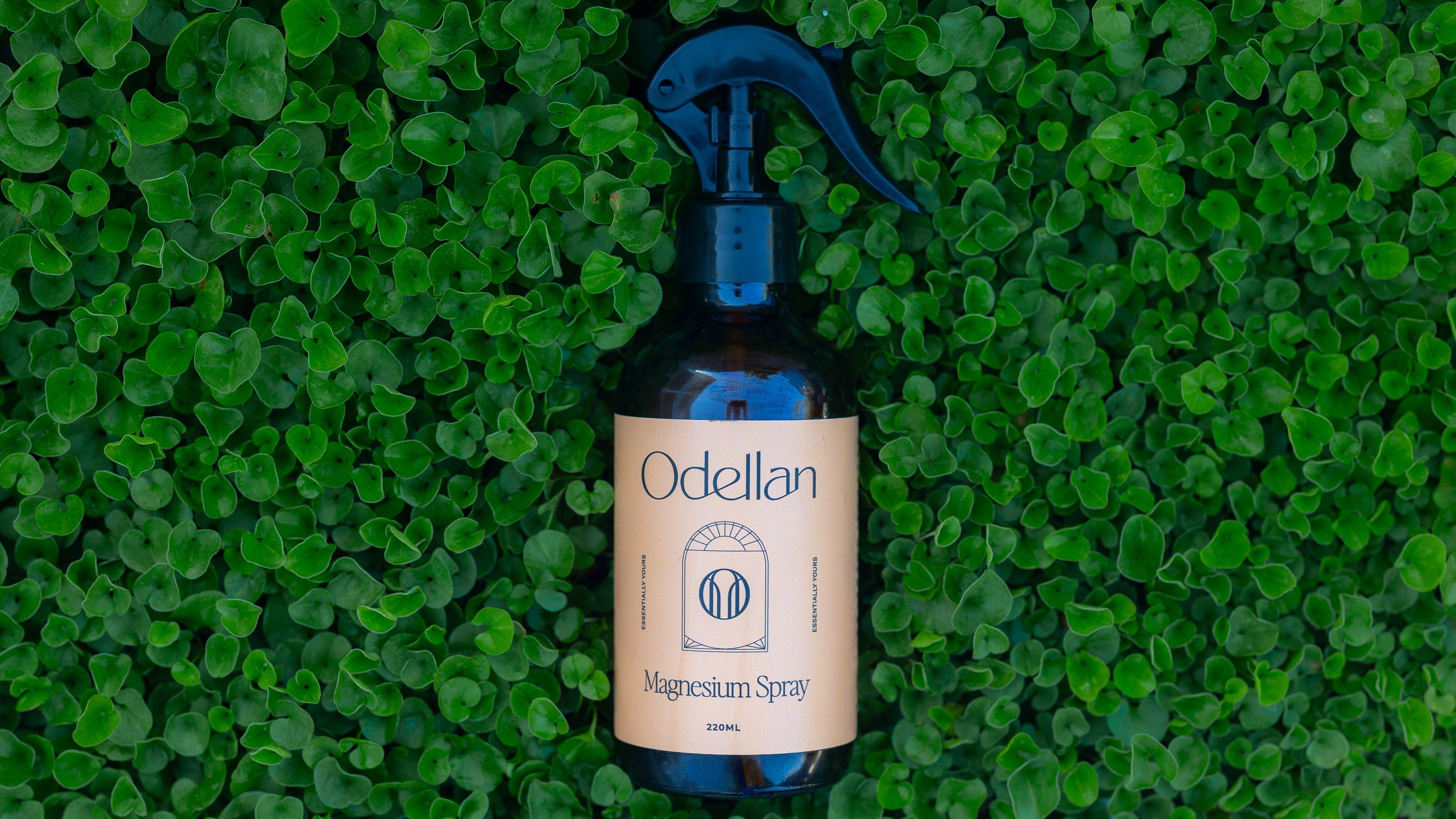 Odellan's magnesium oil spray on greenery