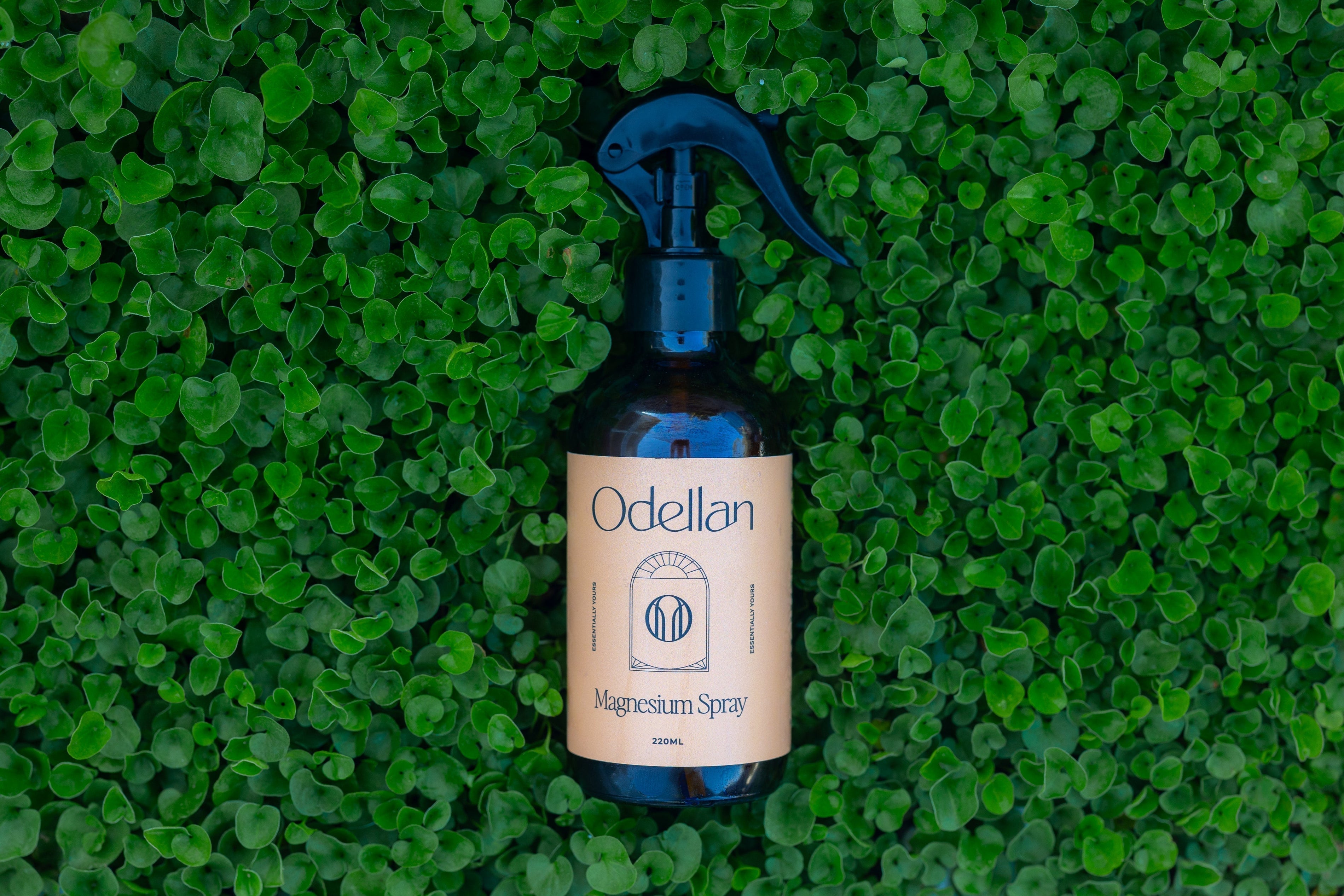 Odellan's magnesium oil spray on greenery